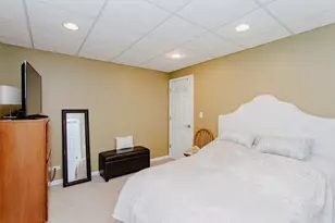 3 Blackwolf Ct, Algonquin, IL 60102 - Photo 89