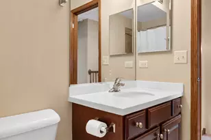 169 Willey St, Gilberts, IL 60136 - Photo 21