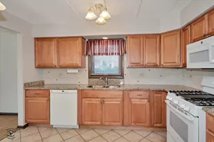 15249 Catalina Dr, Orland Park, IL 60462 - Photo 15