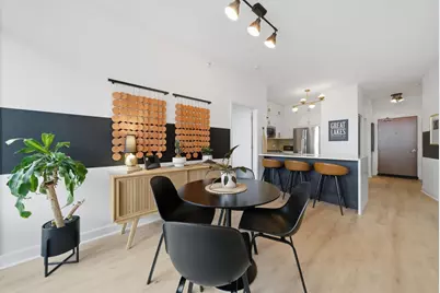 233 E 13th Street #1810, Chicago, IL 60605 - Photo 11