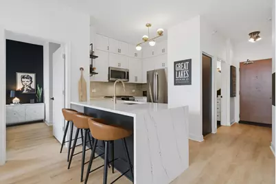 233 E 13th Street #1810, Chicago, IL 60605 - Photo 17