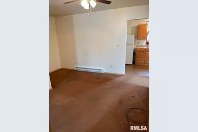 501 SW 3rd Street, Aledo, IL 61231 - Photo 15
