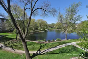 175 Lake Blvd, Buffalo Grove, IL 60089 - Photo 7