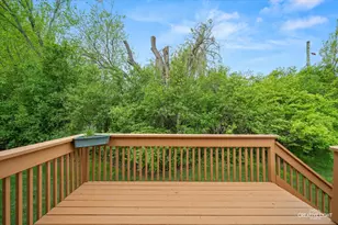 12780 Marian Dr, Lemont, IL 60439 - Photo 19
