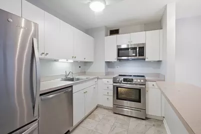 33 E Cedar Street #5B, Chicago, IL 60611 - Photo 3