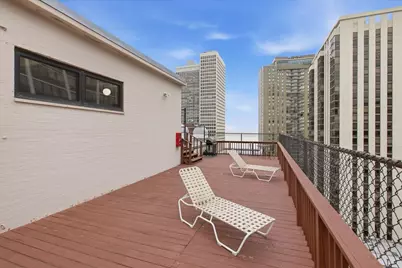 33 E Cedar Street #5B, Chicago, IL 60611 - Photo 13