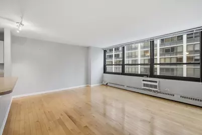 33 E Cedar Street #5B, Chicago, IL 60611 - Photo 5
