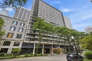 33 E Cedar St, Chicago, IL 60611 - Photo 1