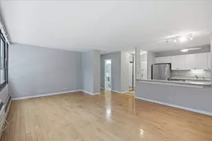 33 E Cedar St, Chicago, IL 60611 - Photo 7