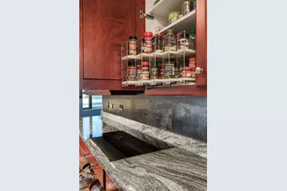 501 N Clinton Street #903, Chicago, IL 60654 - Photo 21