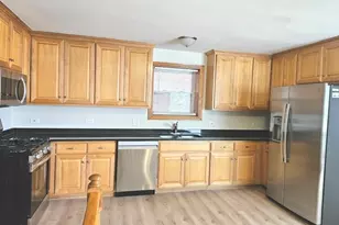 5318 S Kenneth Ave, Chicago, IL 60632 - Photo 11