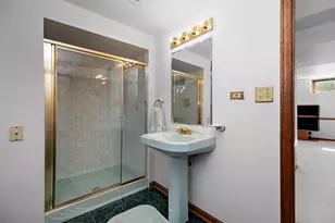 11746 Innishmor Ct, Orland Park, IL 60467 - Photo 27