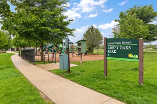 1231 Abbey Oaks Dr, Lemont, IL 60439 - Photo 39