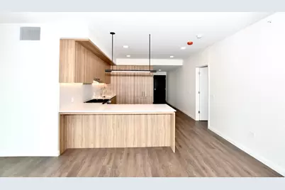 1000 S Michigan Avenue #6606, Chicago, IL 60605 - Photo 11