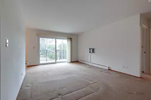 809 E Miner St, Arlington Heights, IL 60004 - Photo 13