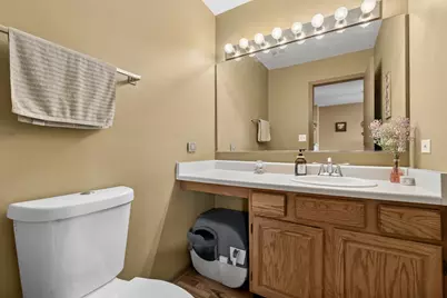 261 Ashbury Lane, Roselle, IL 60172 - Photo 9
