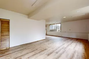 602 S Ridgeway Ave, Champaign, IL 61821 - Photo 39
