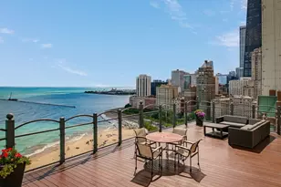 1150 N Lake Shore Dr, Chicago, IL 60611 - Photo 31