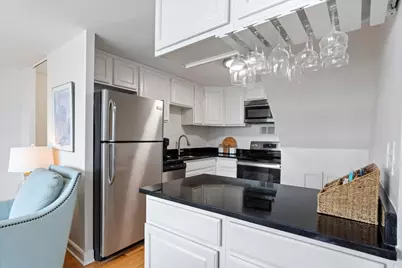 1221 N Dearborn Street #1610N, Chicago, IL 60610 - Photo 9