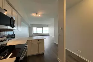 175 E Delaware Pl, Chicago, IL 60611 - Photo 3