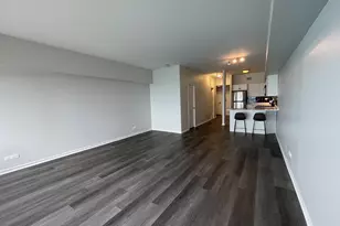 175 E Delaware Pl, Chicago, IL 60611 - Photo 11