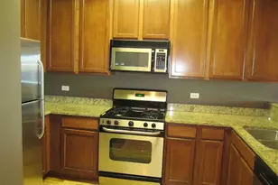 6420 Double Eagle Dr, Woodridge, IL 60517 - Photo 3