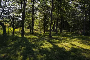 4745 Gum Springs Rd, Tunnel Hill, IL 62972 - Photo 13