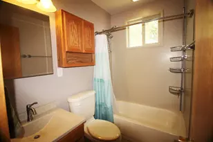 10093 Wolf Rd, Geneseo, IL 61254 - Photo 21
