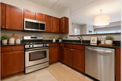 390 W Mahogany Court #503, Palatine, IL 60067 - Photo 5