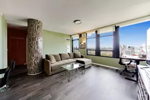 1255 S State St, Chicago, IL 60605 - Photo 9