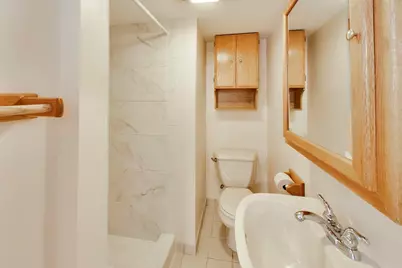 171 E Cayuga Avenue, Elmhurst, IL 60126 - Photo 25