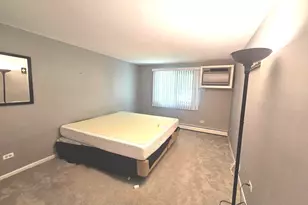 5511 N Chester Ave, Chicago, IL 60656 - Photo 13