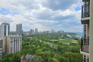 1515 N Astor St, Chicago, IL 60610 - Photo 33