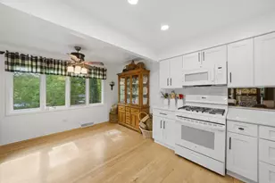 10023 S Wood Ln, Palos Hills, IL 60465 - Photo 11