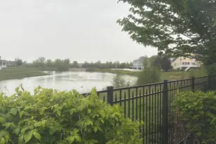 149 Goldenrod Dr, Sugar Grove, IL 60554 - Photo 45