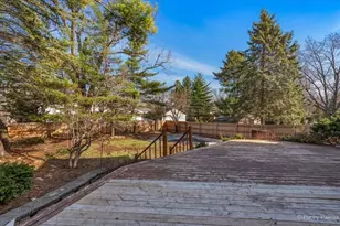 507 S Hi Lusi Ave, Mount Prospect, IL 60056 - Photo 29