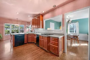 507 S Hi Lusi Ave, Mount Prospect, IL 60056 - Photo 13