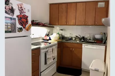 300 N State Street #2627, Chicago, IL 60654 - Photo 3