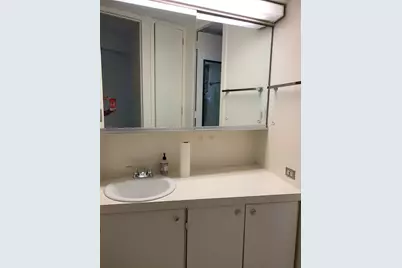 300 N State Street #2627, Chicago, IL 60654 - Photo 15