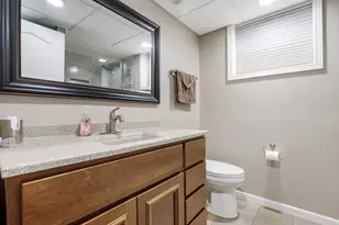 8903 Vail Ln, Woodridge, IL 60517 - Photo 21