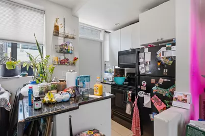 1209 N State Parkway #10, Chicago, IL 60611 - Photo 19