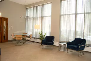 420 E Waterside Dr, Chicago, IL 60601 - Photo 63