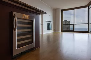 420 E Waterside Dr, Chicago, IL 60601 - Photo 17