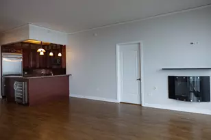 420 E Waterside Dr, Chicago, IL 60601 - Photo 13