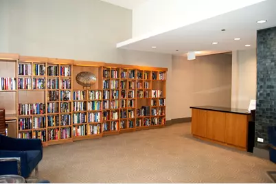 420 E Waterside Drive #4114, Chicago, IL 60601 - Photo 61