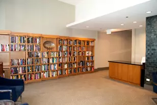 420 E Waterside Dr, Chicago, IL 60601 - Photo 61