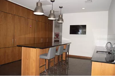 420 E Waterside Drive #4114, Chicago, IL 60601 - Photo 69