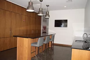 420 E Waterside Dr, Chicago, IL 60601 - Photo 69