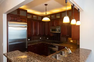 420 E Waterside Dr, Chicago, IL 60601 - Photo 17