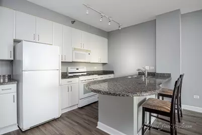 330 N Jefferson Street #2007, Chicago, IL 60661 - Photo 5